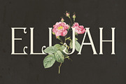 Ageless Heritage - 1900's Typeface, a Serif Font by HipFonts (Thumbnail 7 of 7)