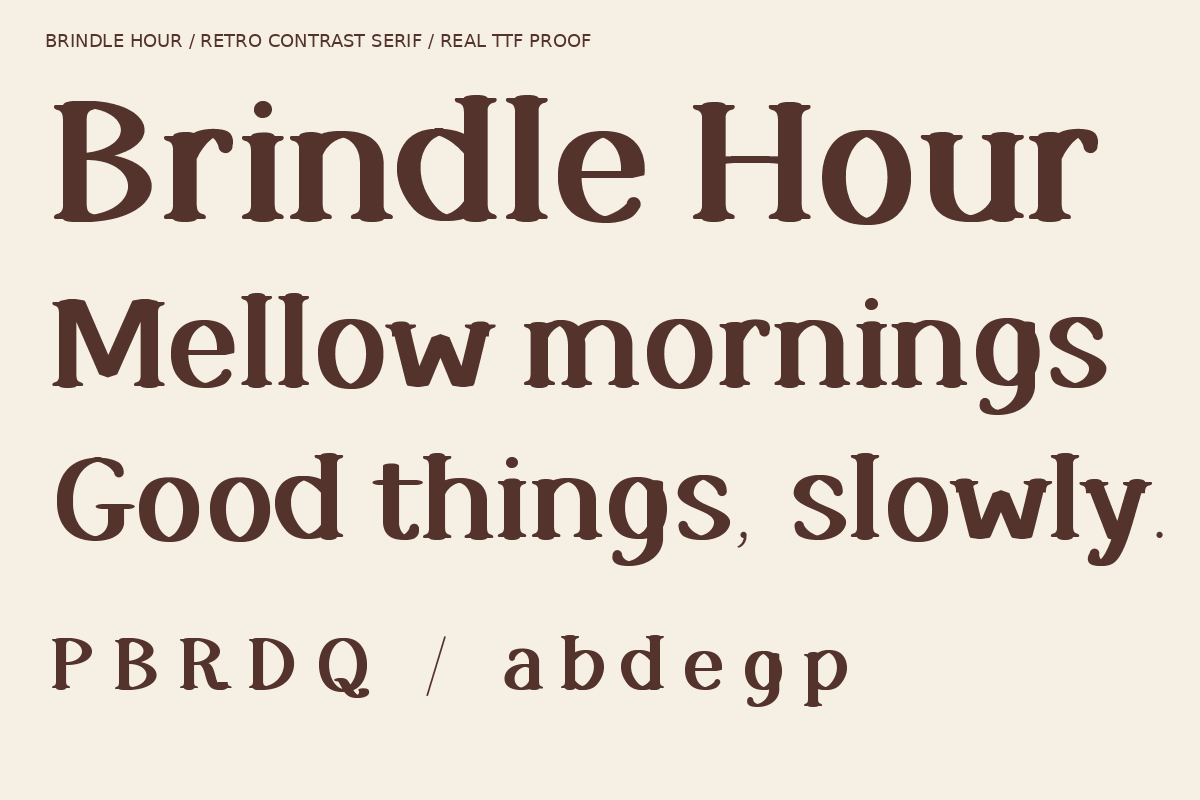 Brindle Hour — Warm Retro Serif, a Serif Font by Colorsfav (Photo 5 of 11)