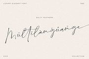 Salty Feathers - Modern Script, a Script Font by Sans & Sons (Thumbnail 10 of 10)