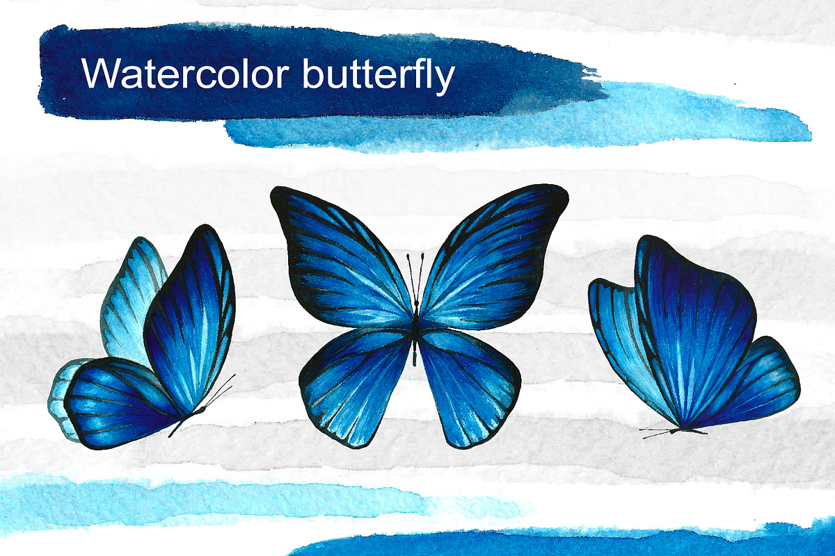 Blue watercolor butterflies, an Illustration by Art Watercolor (Photo 1 of 4)