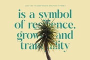 Dudga Baloval Elegant Serif Font, a Serif Font by timelesstype.co (Thumbnail 8 of 20)