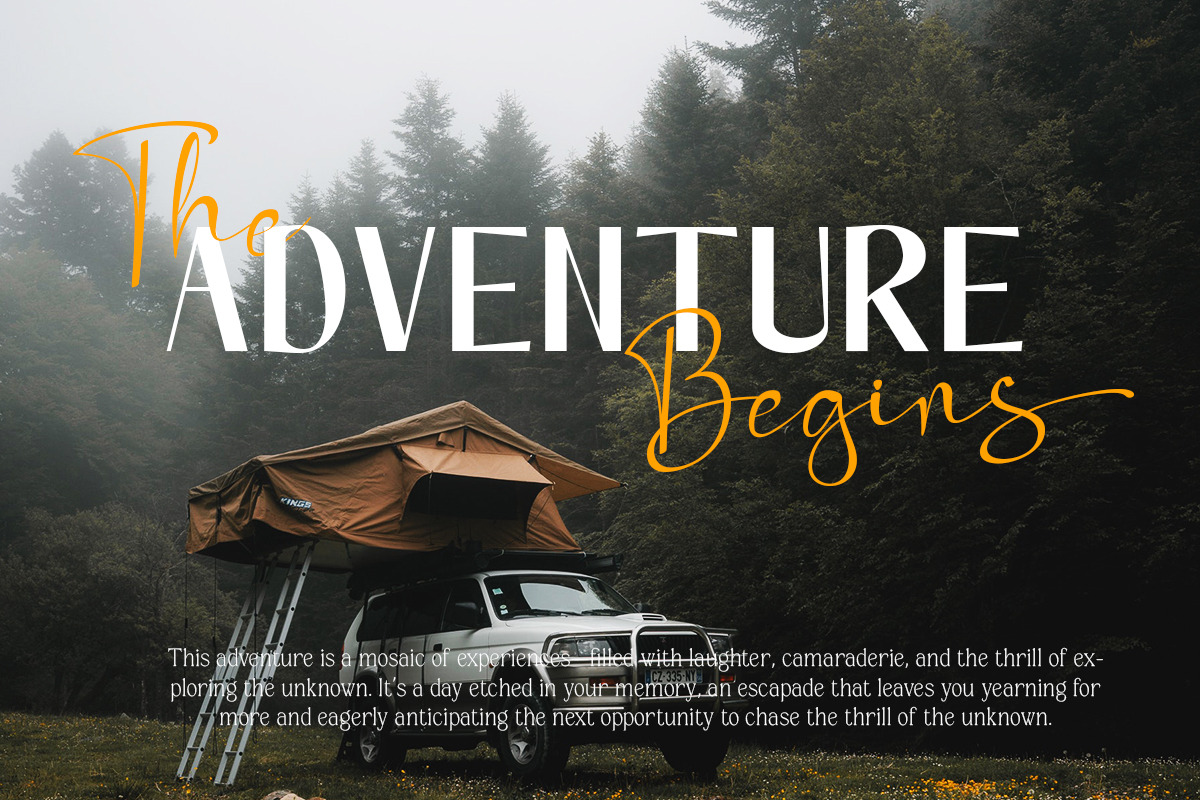Vigilante Neue, a Sans Serif Font by Black Studio (Photo 6 of 11)
