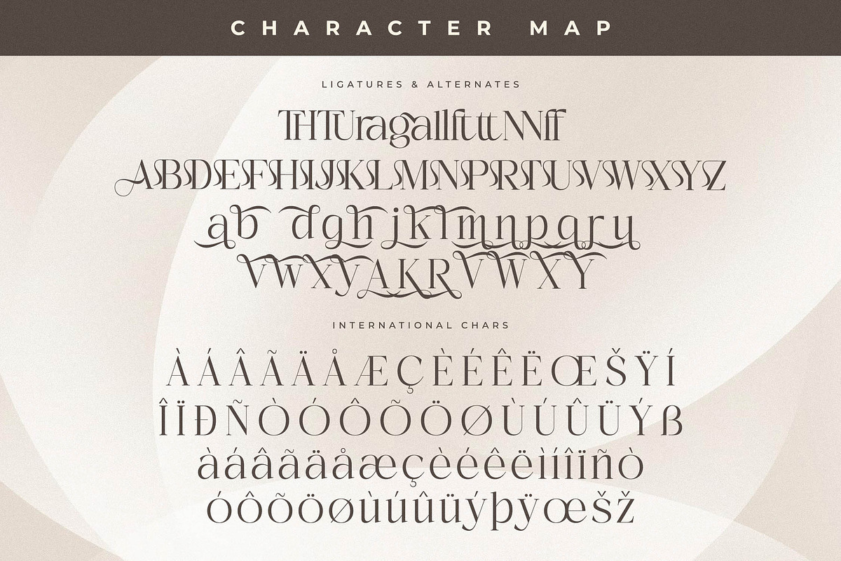 Adogare Modern Serif Font, a Serif Font by Storytype Studio (Photo 14 of 15)