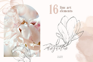 Magnolia Line Art Collection