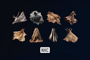 NHC – Leather Animal Trophies, an Animal Illustration by New Horizon Creators (Thumbnail 4 of 6)