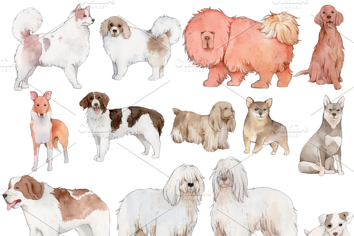 190+ Hand-drawn Watercolor Dogs, an Animal Illustration by ArtbyHien (Photo 10 of 12)
