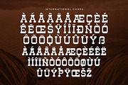 Henk Singer Slab Serif Font, a Slab Serif Font by Storytype Studio (Thumbnail 14 of 15)