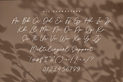Farmhomes A Monoline Script, a Script Font by Allouse Studio (Thumbnail 9 of 10)