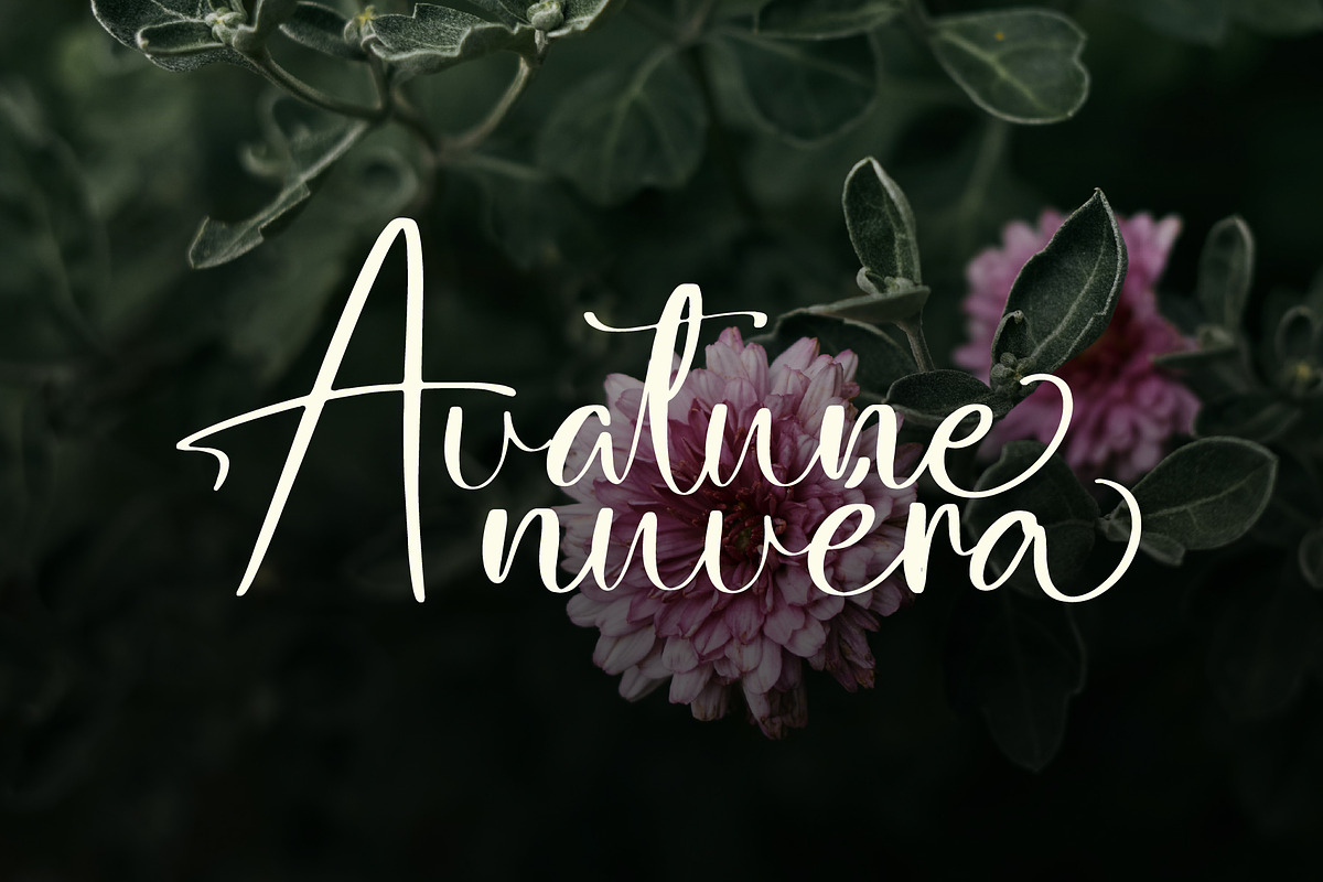 Bajoue | Romantic Wedding Font, a Script Font by Koplexs Studio (Photo 4 of 10)