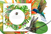 Watercolor Tropical plant & Bird, an Object Graphic by FineArt (Thumbnail 13 of 22)