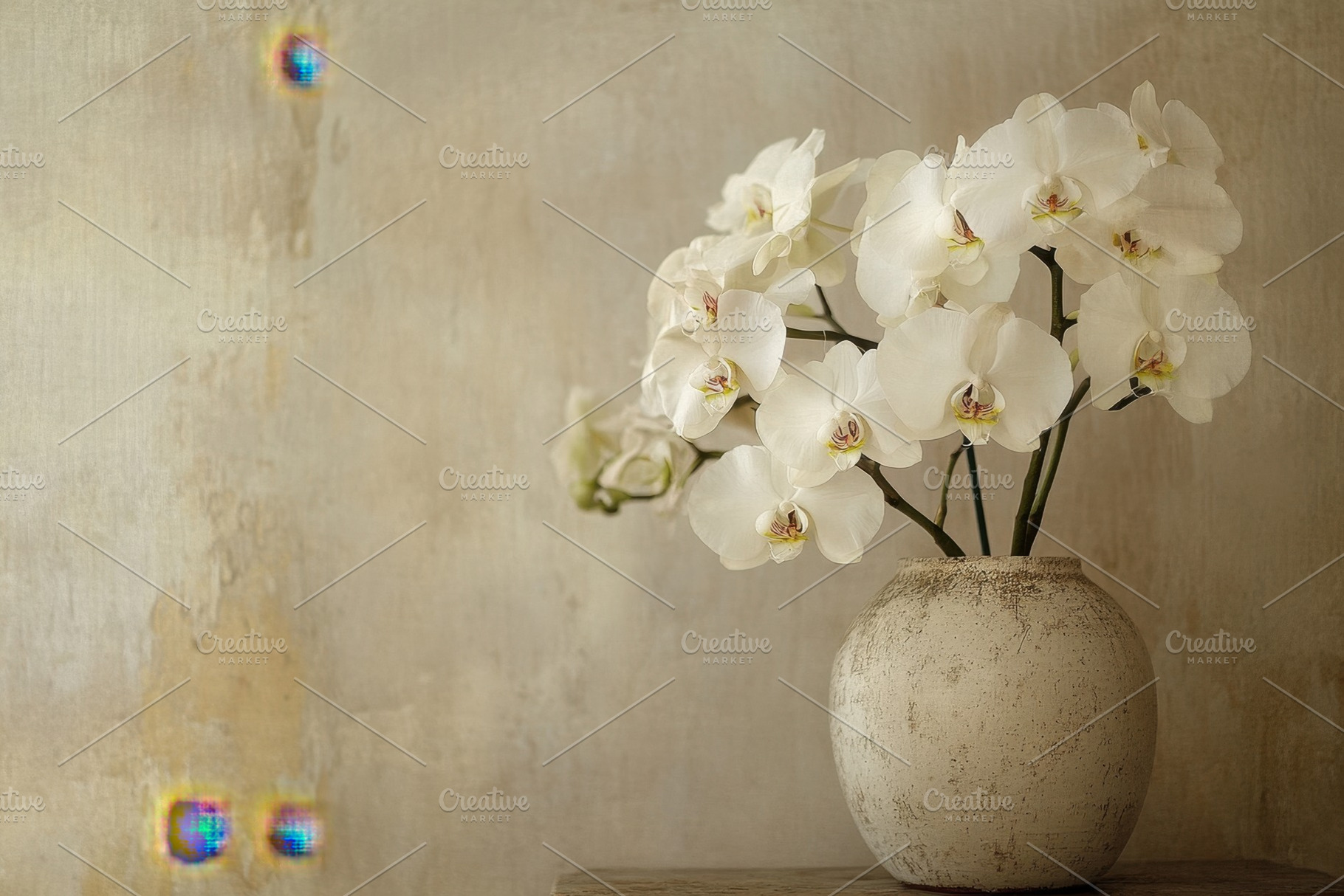 Elegant white orchids in a simple va, a Photo by Tanuart