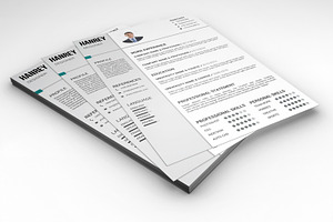 Resume Template-V041