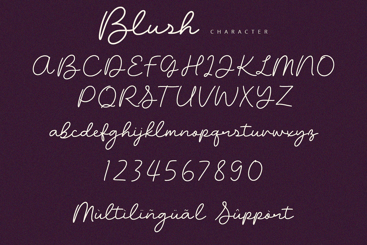 Blush - Script Font, a Script Font by Alpaprana (Photo 8 of 10)