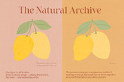 Paper Fabric Texture Overlays White, a Texture Graphic by Yuliya Derbisheva (Thumbnail 4 of 11)