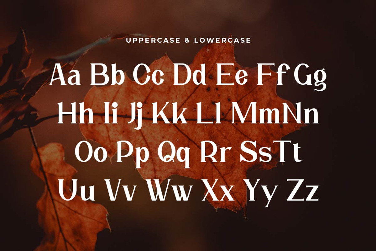 Elhave Luxury Serif Font, a Serif Font by Artiveko (Photo 6 of 7)