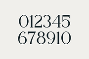 The New Seasone, a Serif Font by RockboyStd (Thumbnail 12 of 12)
