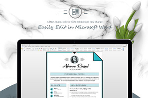 CV Template Clean And Elegant Design