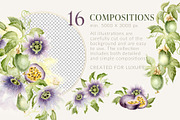 Passion Fruit Watercolor Clip Art, a Food Illustration by Elena Malgina Clipart (Thumbnail 3 of 16)
