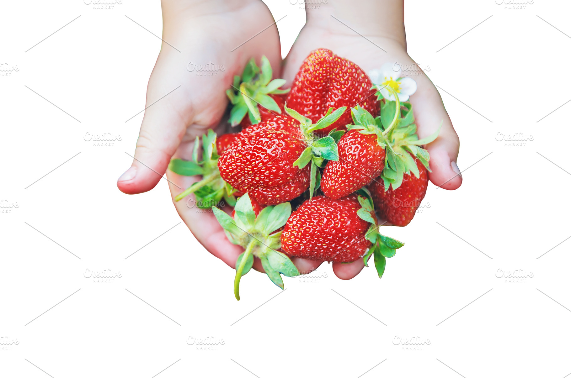 The child collects strawberries in, a Food & Drink Photo by yanadjana