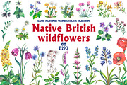 Native British wildflower watercolor, a Decorative Illustration by FITALARTSNEDIGI (Thumbnail 1 of 11)