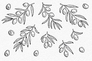 Olive Vintage Graphics Set, a Decorative Illustration by Chelovector (Thumbnail 4 of 5)