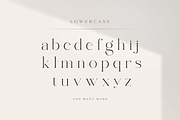 abigail - unique ligature font, a Serif Font by Sensatype (Thumbnail 20 of 32)