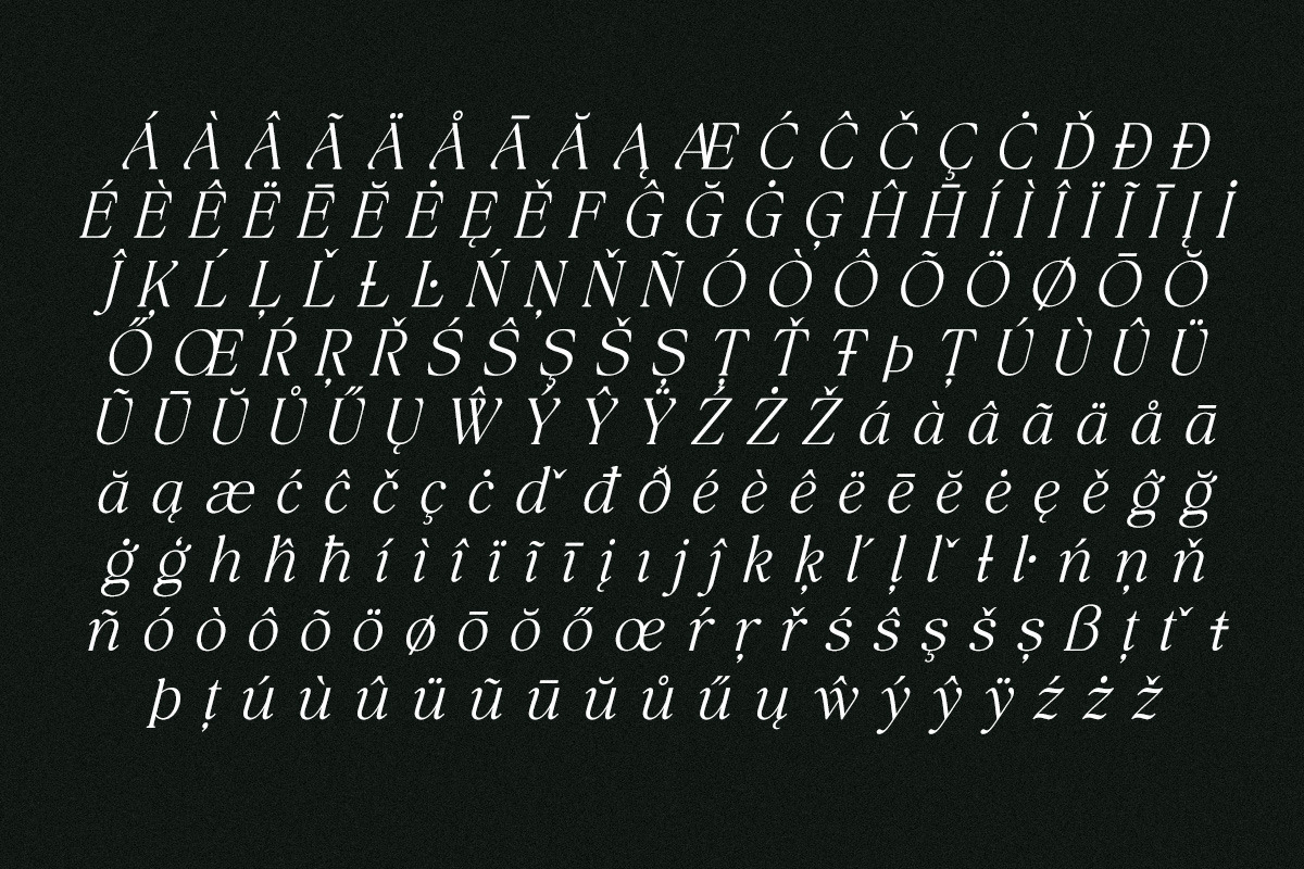 The Bilstein Editorial, a Serif Font by Pista Mova (Photo 19 of 20)