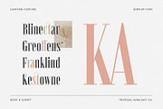 Instyles Collective - Modern Font, a Serif Font by TropicalSunlightCo. (Thumbnail 10 of 13)