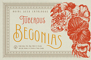 Conserta - Vintage Display Font, a Serif Font by Konstantine Studio (Thumbnail 2 of 10)