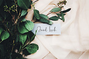 Allea Mikou Brush Script Font, a Script Font by NTC Graphic (Thumbnail 6 of 9)