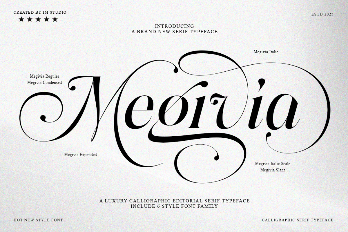 Megivia Calligraphyc Serif | 6 Fonts, a Serif Font by IM Studio (Photo 1 of 12)
