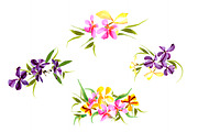 №3 Set watercolor irises vector, a Decorative Illustration by Rasveta (Thumbnail 3 of 5)