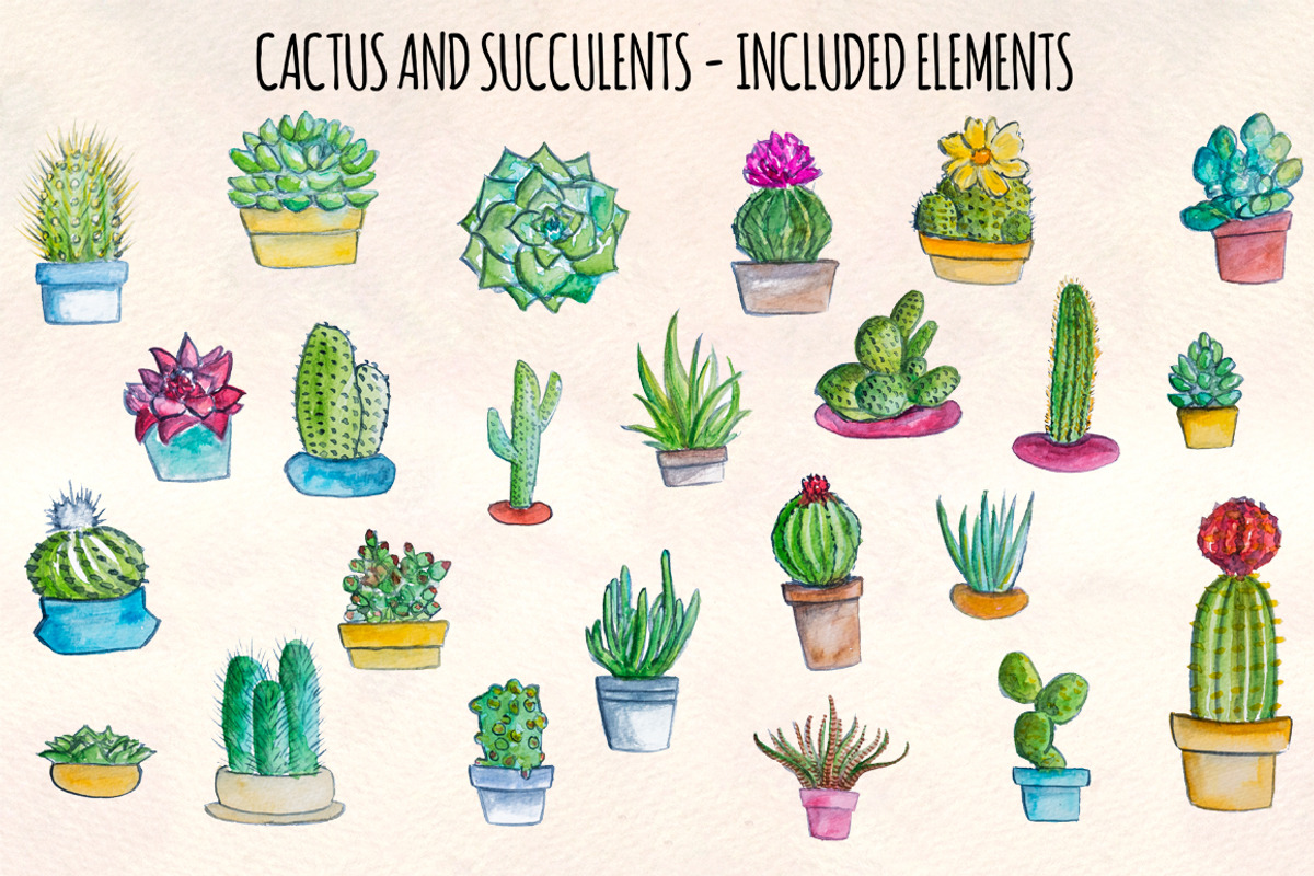 24 Cactus and Succulent Watercolors, a Seasonal Illustration by Violet LeBeaux (Photo 3 of 3)
