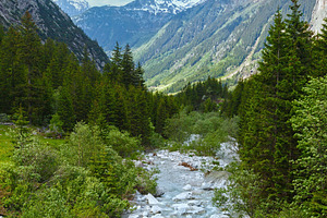 Grimsel Pass summer landscape (Switzerland)., a Nature Photo by YuriyB