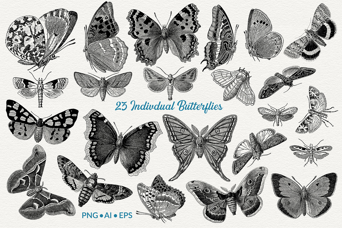 Les Papillons No 1, an Animal Illustration by French Kiss Collections (Photo 2 of 7)