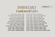 Evolve Early Serif Font Family, a Serif Font by groens (Thumbnail 3 of 15)