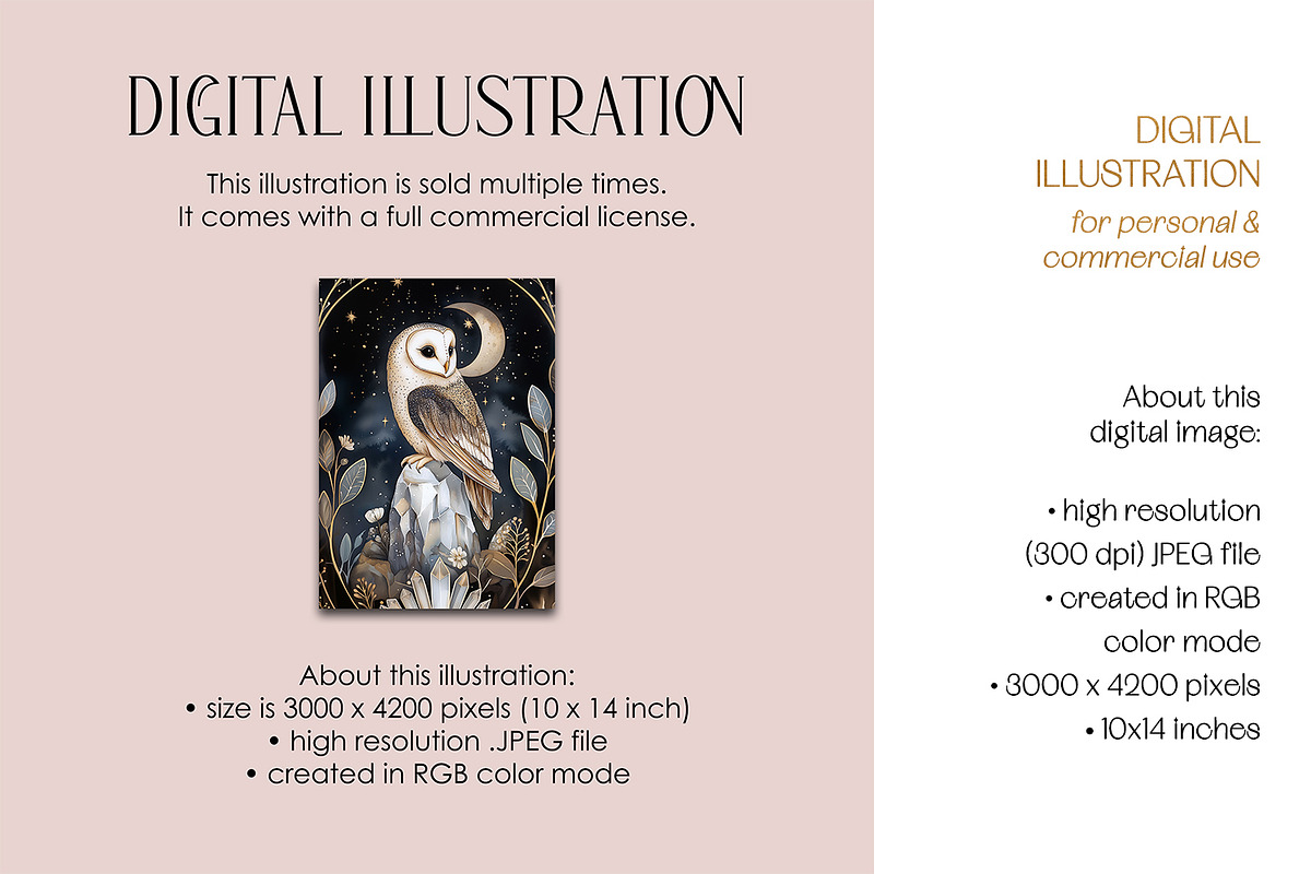 Barn Owl & Rock Crystal Illustration, an Animal Illustration by The Dutch Lady Designs (Photo 3 of 4)