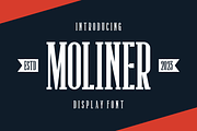 Moliner, a Serif Font by lelevien (Thumbnail 3 of 5)