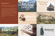 Elegant Serif Bundle, a Serif Font by Larin Type Co. (Thumbnail 18 of 18)