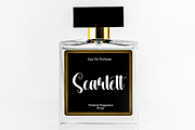 Master University | Script Font, a Handwritten Font by Scratchones (Thumbnail 4 of 9)