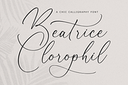 Beatrice Clorophil Chic Calligraphy, a Script Font by Storytype Studio (Thumbnail 1 of 15)
