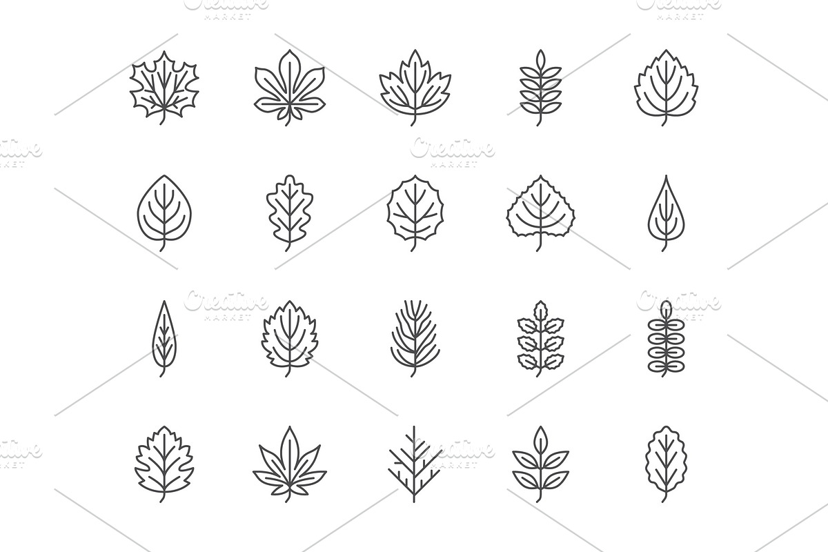 Leaves Line Icons, an Outline Icon by Nadiinko (Photo 2 of 2)