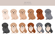 Bichpoo (Bichon Frise Poodle mix), an Animal Illustration by pet design shop (Thumbnail 4 of 6)