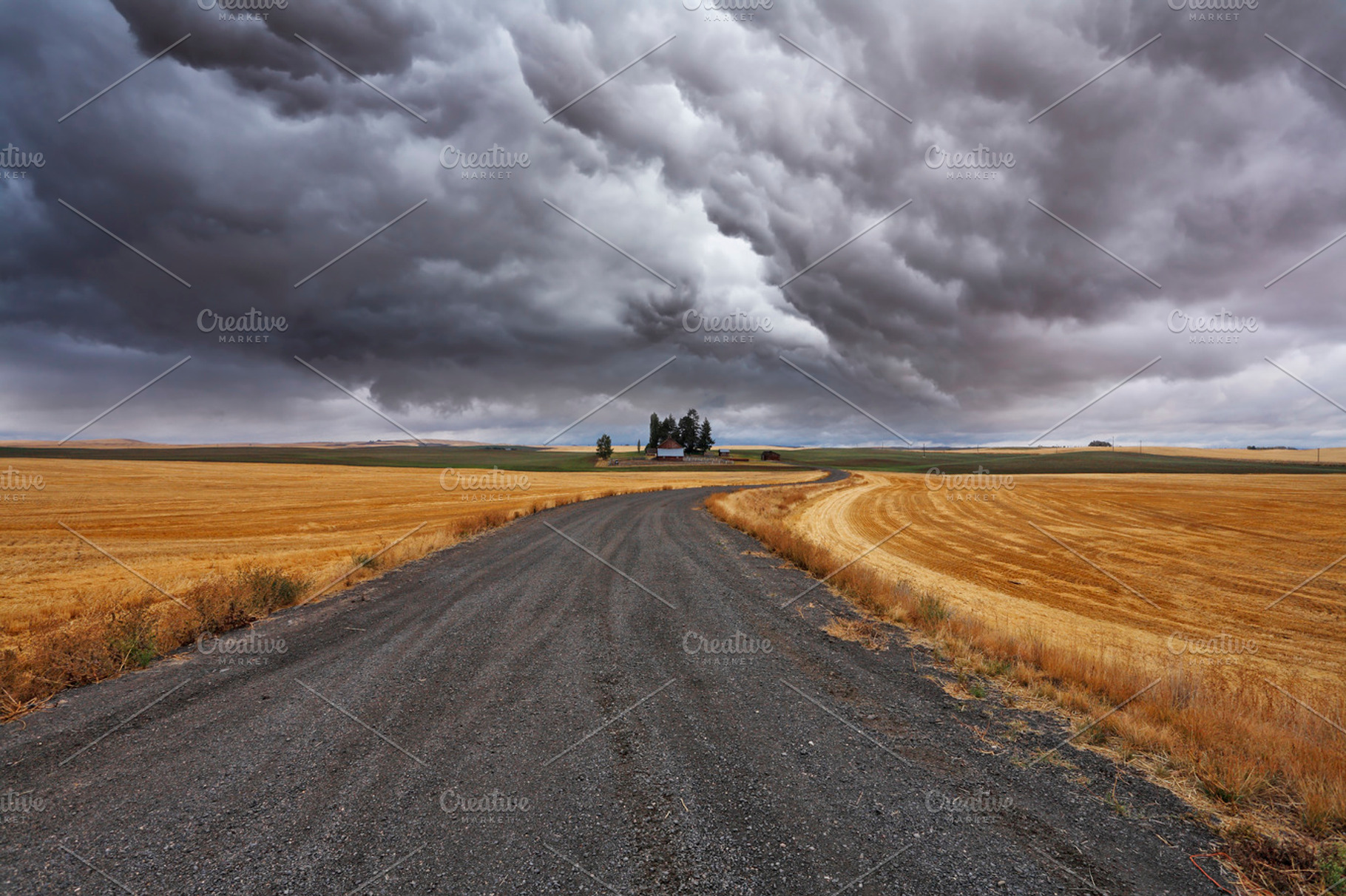 Fields after harvesting featuring road, natural, and gold, a Nature Photo by kavram