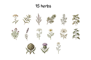 Vintage Botanical Illustrations, a Decorative Illustration by youtoview (Thumbnail 7 of 14)