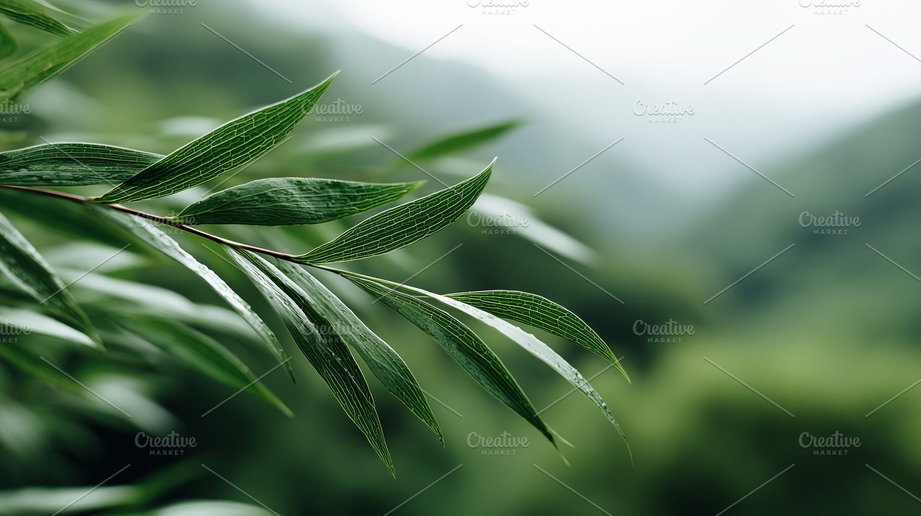 Fresh green leaves with visible, a Nature Photo by MistyDay