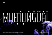 Gallinari - Modern Grotesk 36 Fonts, a Sans Serif Font by Jehoo Creative (Thumbnail 6 of 14)