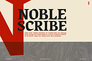 Noble Scribe – Editorial BlackLetter, a Blackletter Font by ALV_TypeFoundry (Thumbnail 18 of 18)