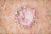 Digital backdrop newborn photography stock picture, a Person Photo by Sweet Bambini Design (Thumbnail 2 of 2)