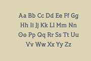 TSG Romulus Typeface, a Slab Serif Font by Tapiwanashe Garikayi (Thumbnail 4 of 9)